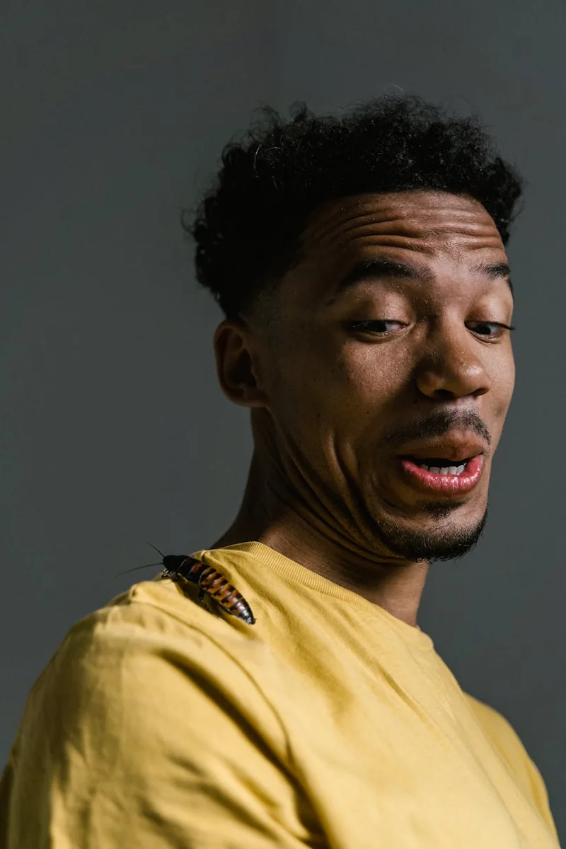 竞品策略分析场景示意图